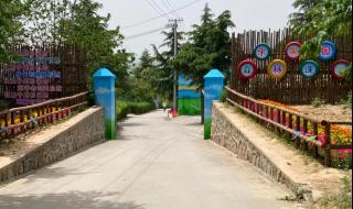 适合亲子游的地方