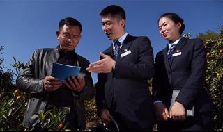 金山金融是什么平台